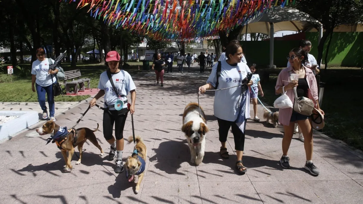 Nuevo León tendrá un miércoles 19 de agosto con calor intenso en la Zona Metropolitana