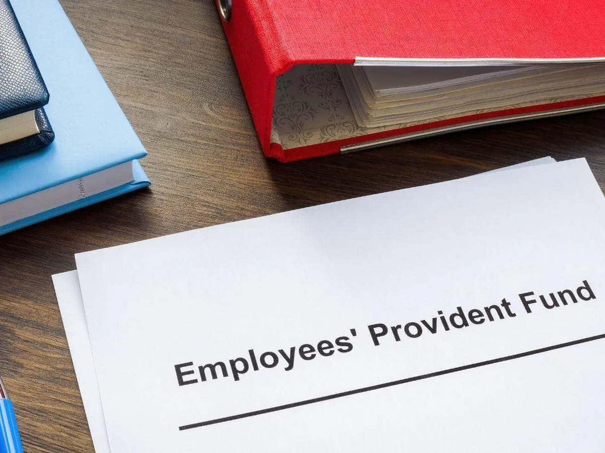 EPF Scheme 2026: Can govt cut your PF contribution for 3 months? Explained