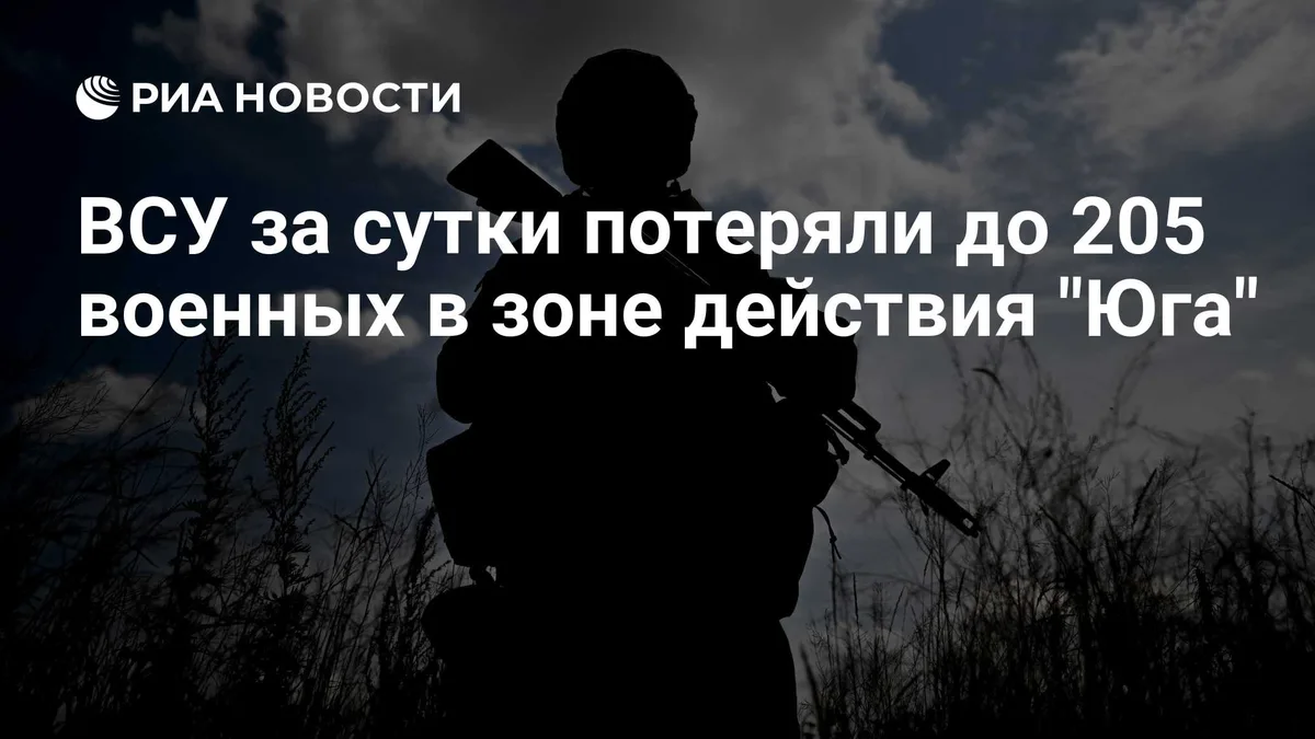 ВСУ за сутки потеряли до 205 военных в зоне действия "Юга"