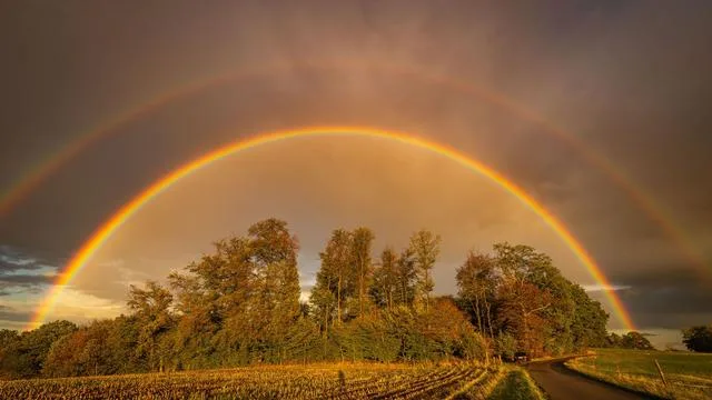 Fotografie: Bilder des Tages