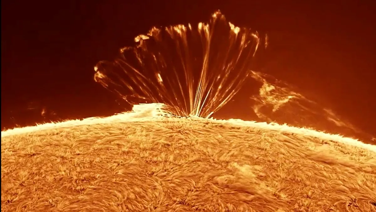 Mesmerizing plasma loops on the sun | Space photo of the day for Sept. 3, 2026