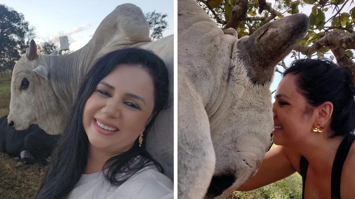 Carinho por boi de estimação fez dona continuar sem comer carne vermelha