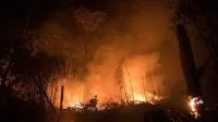 Amazonas amplia combate a queimadas no interior após fumaça avançar