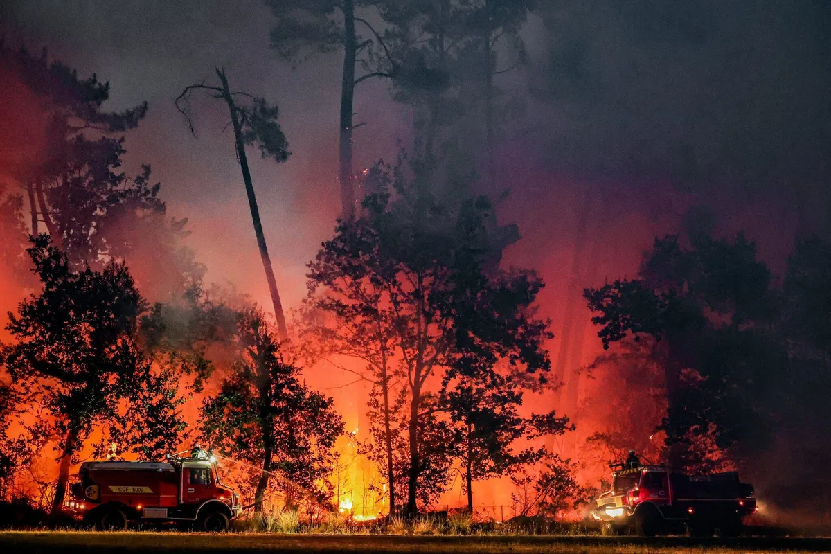 Incendies de forêt : les catastrophes naturelles, un terrain fertile pour la désinformation