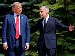 Canadians deserve our support as Trump tries to damage their country's economy, says HAMISH MCRAE