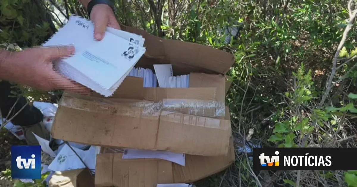 Milhares de cartas estão a ser encontrados no meio do mato na Serra de Aire e Candeeiros