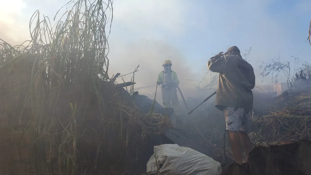 Incêndio destrói vegetação no conjunto Ouro Verde, em Manaus; VÍDEO