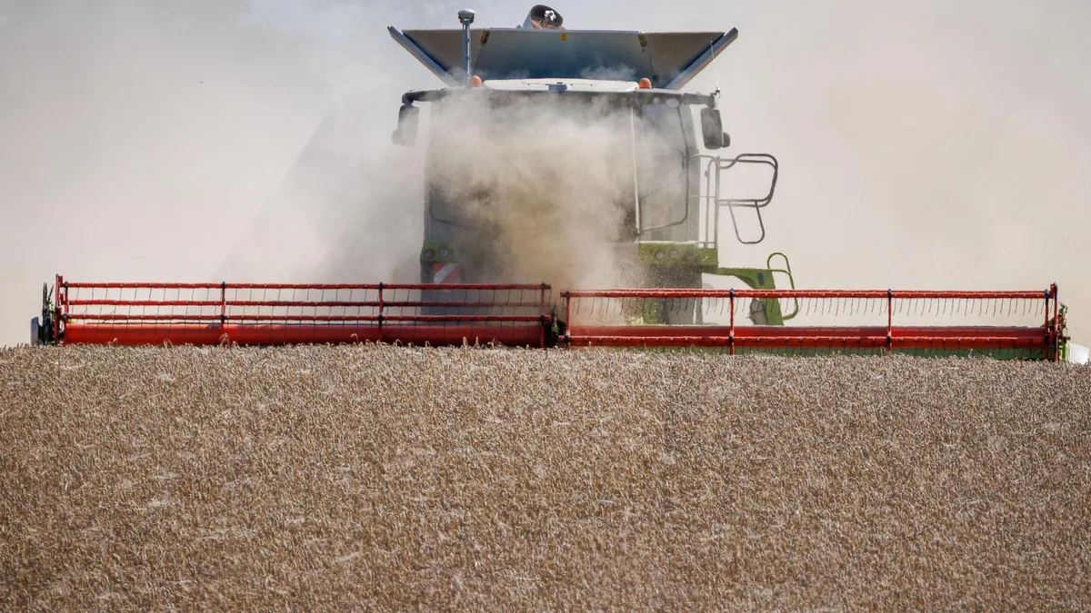 Ernährungssicherheit: Wie sinnvoll sind die Maßnahmen der Politik?