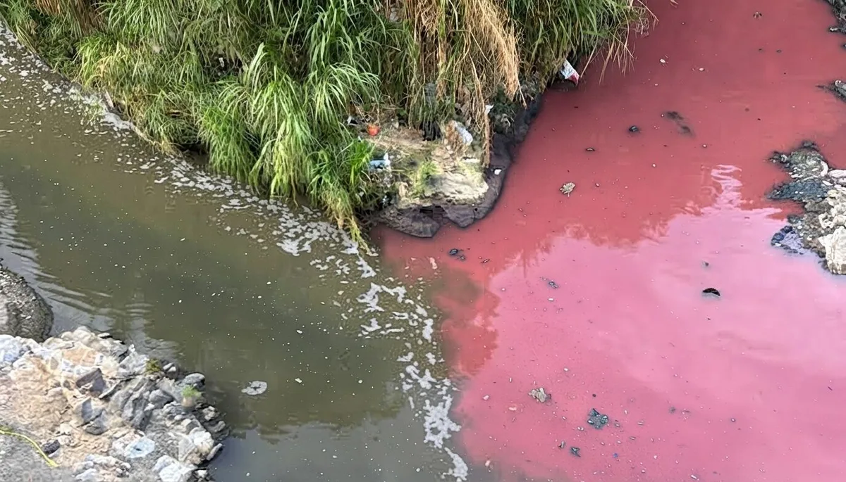 Río Las Vacas teñido de rojo en Guatemala: suspenden a empresa y activan peritajes para determinar responsabilidad