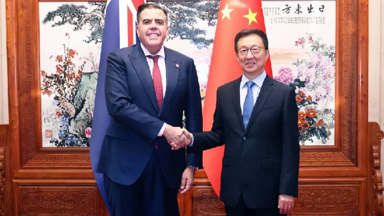 Chinese vice president meets Australia's House speaker