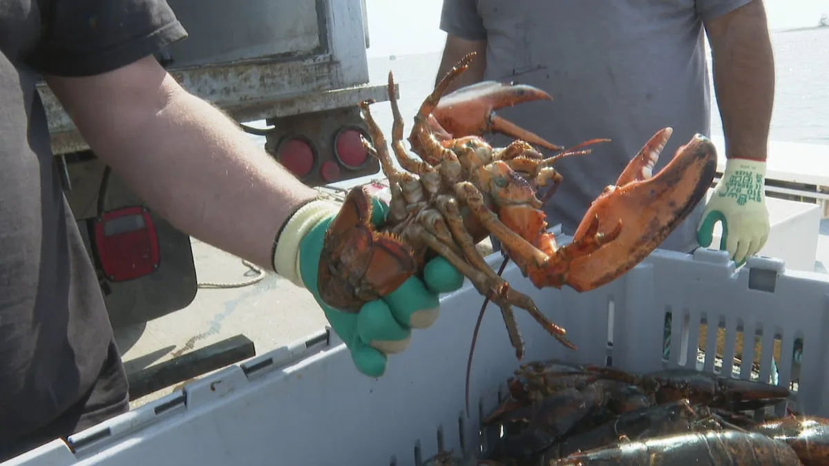 Soaring licence costs drive fishermen into questionable financing deals