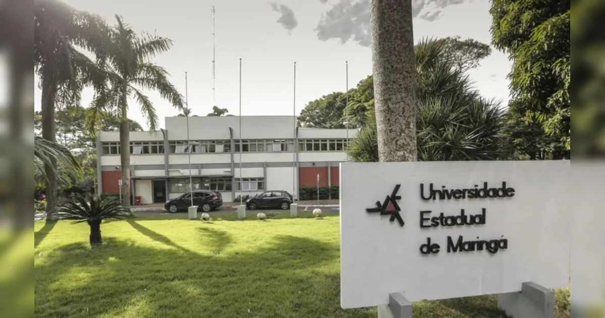 UEM abre teste seletivo em 76 áreas para professores colaboradores