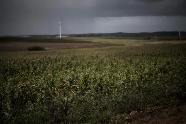 En Afrique, le “super El Niño” risque d’amplifier l’impact des crises géopolitiques