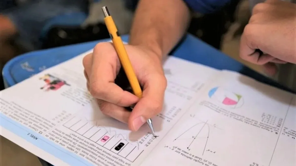 Bom desempenho em matemática pode render bolsas de até R$ 700 mensais para estudantes; conheça oportunidades
