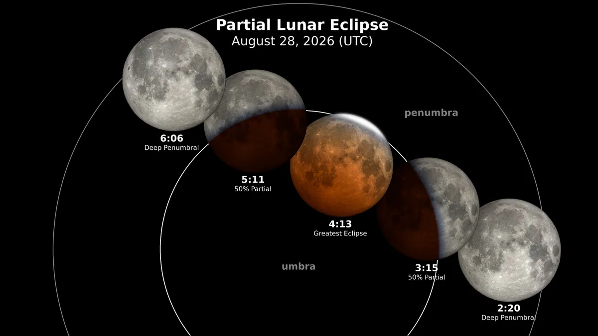 Eclipse lunar traz um novo “espetáculo” no céu para acompanhar em Portugal. Qual é a melhor hora (e local) para observar?