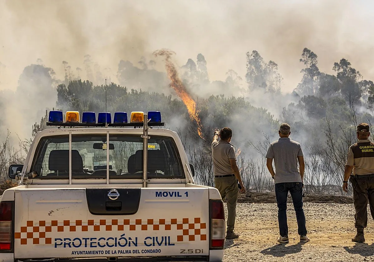 Los 'nuevos' incendios forestales: vientos cambiantes, temperaturas extremas y riesgo mortal