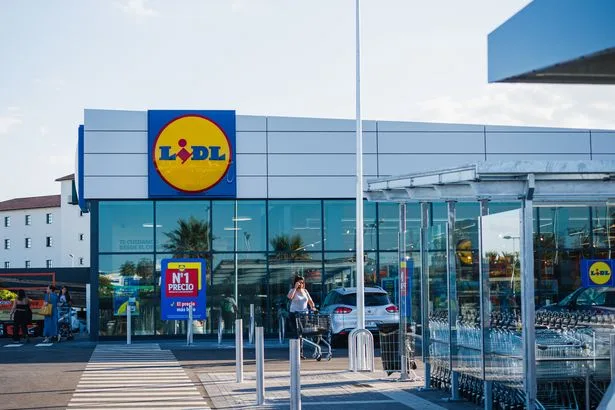 Lidl £20 furniture item looks just like £50 Dunelm and £90 Tesco versions out now