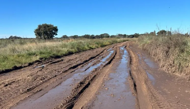 Caminos rurales: afirman que un municipio bonaerense gastó $70 millones en la Fiesta de la Galleta de Piso y no invirtió en obras hídricas