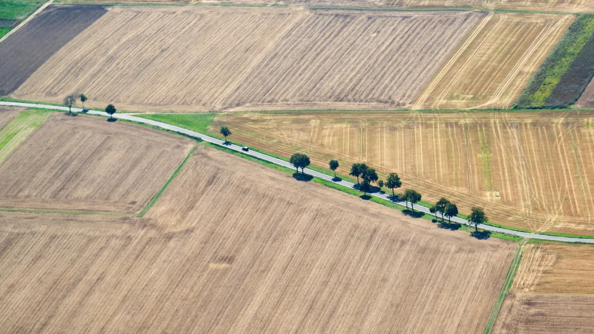 Ernte und Wetterextreme: Dürre Hilferufe der Landwirte
