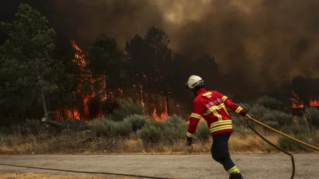 Cerca de 3.000 hectares de área ardida nos fogos em Boticas