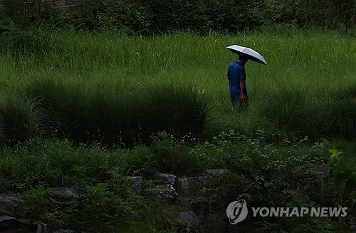 대전·세종·충남 '후텁지근'…낮 최고 32도, 최대 20㎜ 소나기
