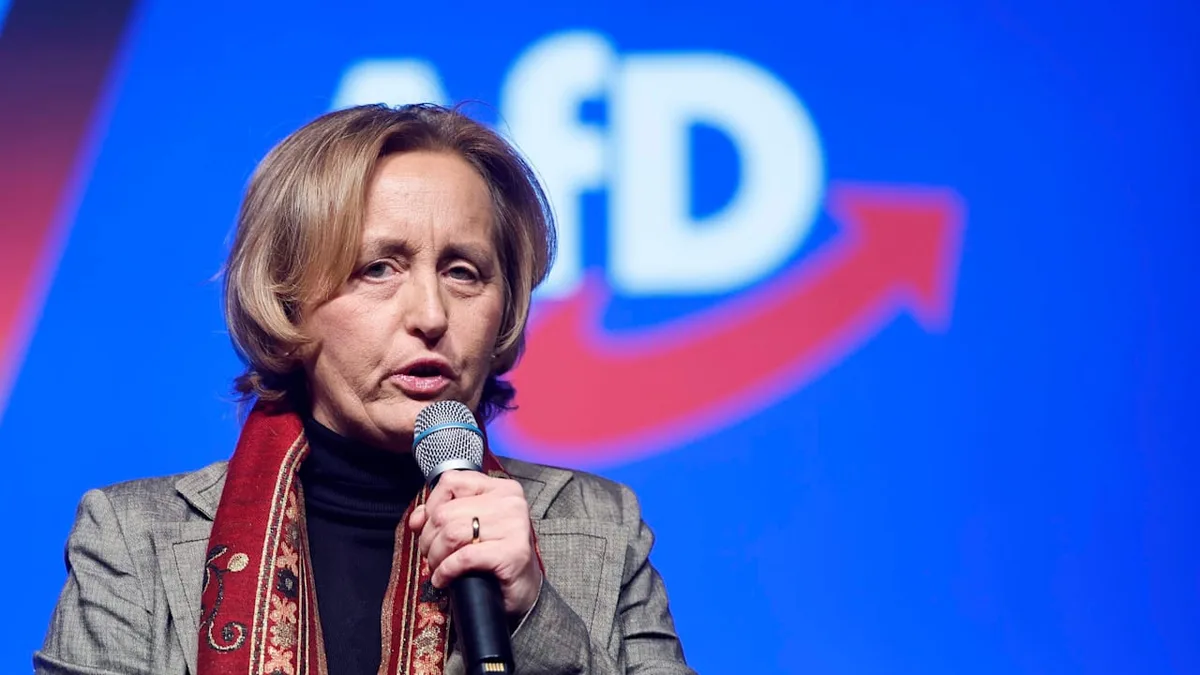 Nach Rückzug von BMW - AfD-Politikerin bettelt bei Musk um Dienstwagen