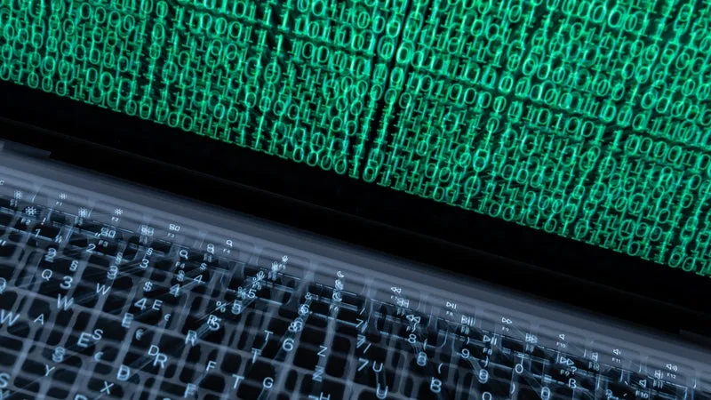 Face aux multiples piratages de sites institutionnels, deux actions collectives ont été initiées contre les pouvoirs publics pour "responsabiliser l'Etat"