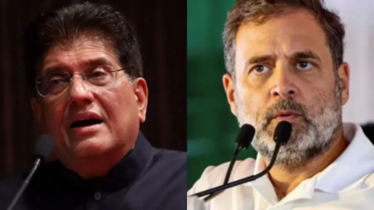 ‘Can’t even file a petition’: Piyush Goyal’s swipe at INDIA plea on SIR