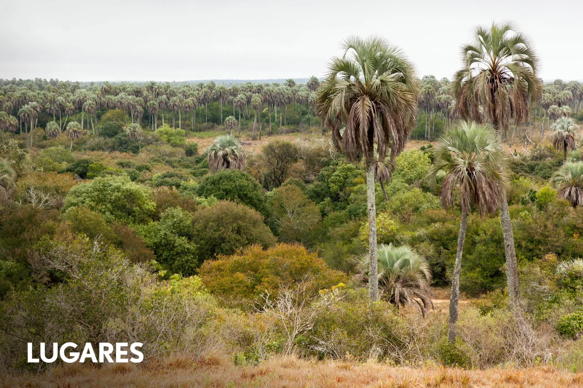 El parque nacional que fue estancia ganadera y recibe niños en edad escolar todo el año