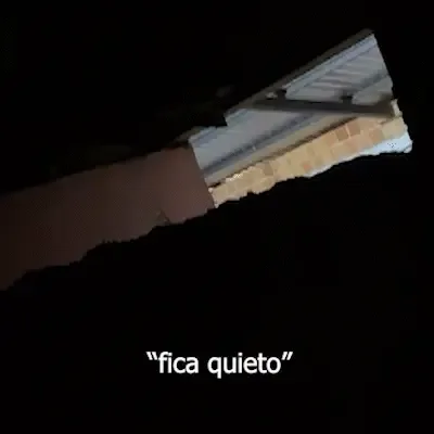 Morador grava vizinho agredindo cachorro no Aero Rancho