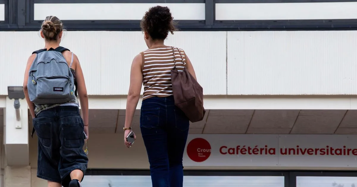 13 % des étudiants ne mangent pas à leur faim : pourquoi les repas à un euro ne suffisent pas à résorber la précarité étudiante