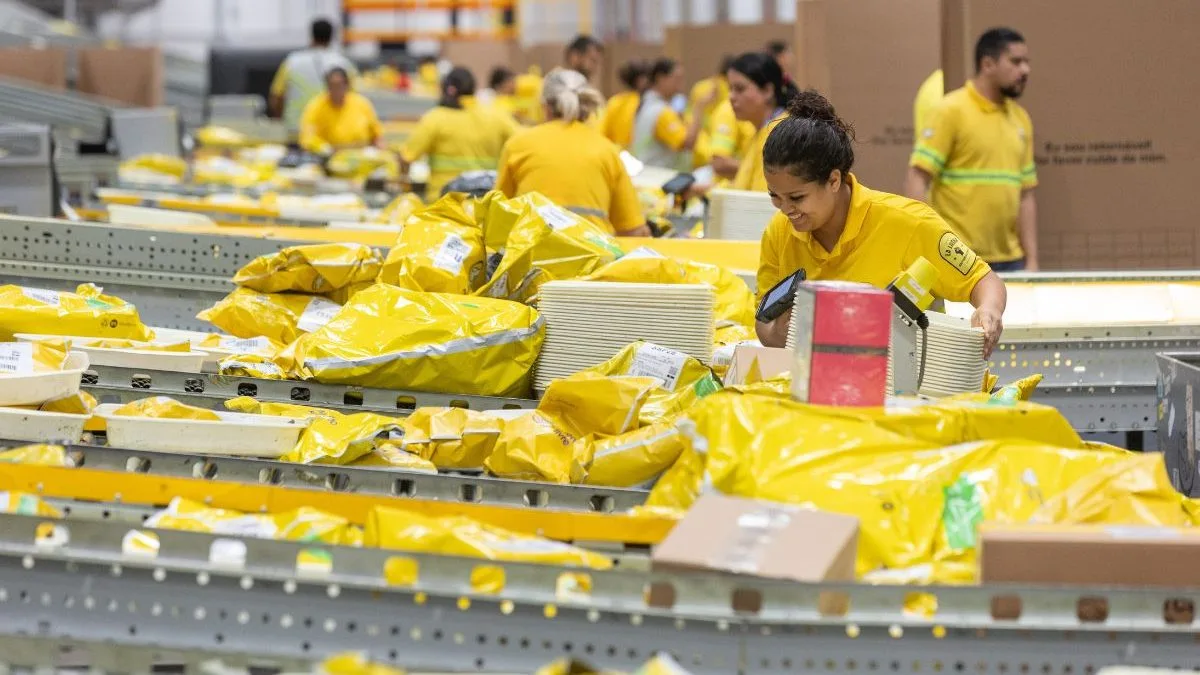 Saiba quanto Santa Catarina movimenta sozinha no Mercado Livre