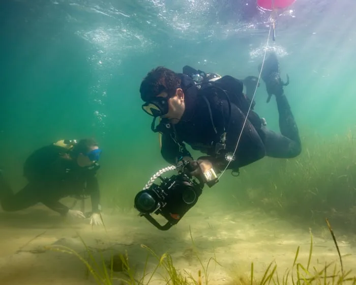 ‘Inredibly enouraging’: healing the scars of traditional anchors in Dorset’s seagrass meadows