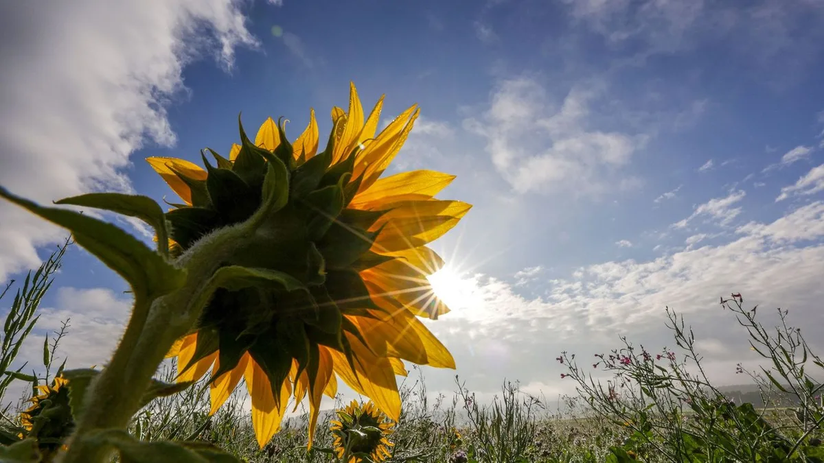 Wetter: Wo sich der Spätsommer im Südwesten noch einmal breit macht