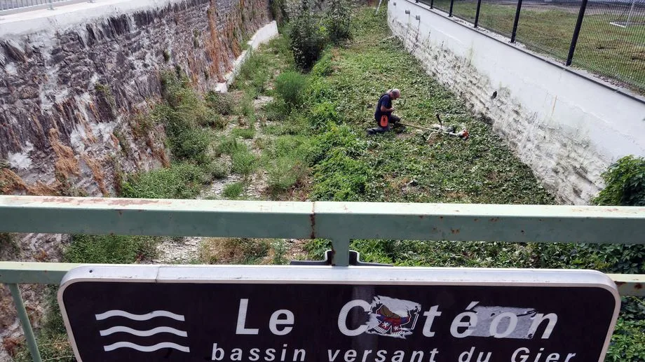 Sécheresse : l'état des petites rivières est "critique", avertit l'Office français de biodiversité