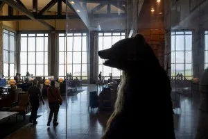 Jackson Hole: Warsh encara prova de fogo após ruído que abalou mercados
