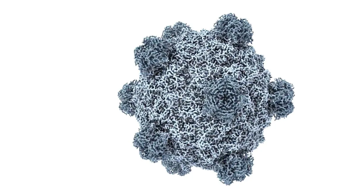 Cursar bioterrorismo online