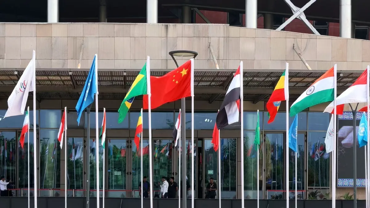Global experts: China leads new chapter in BRICS cooperation