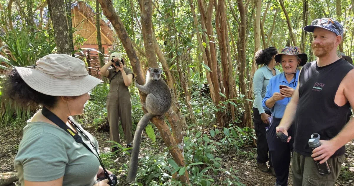 Afrique. Madagascar fait le pari du tourisme durable et espère doubler son nombre de visiteurs