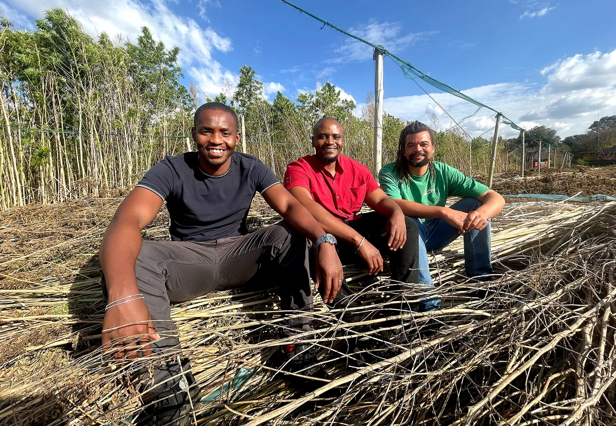 GREEN ROUTE: Hemp dreams — young South African pioneers create a new industry against all odds