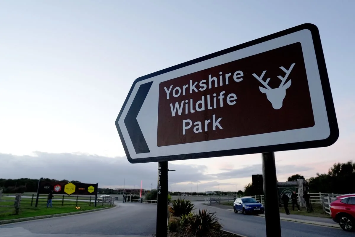 Tiger will not be euthanised after fatal attack on man – wildlife park