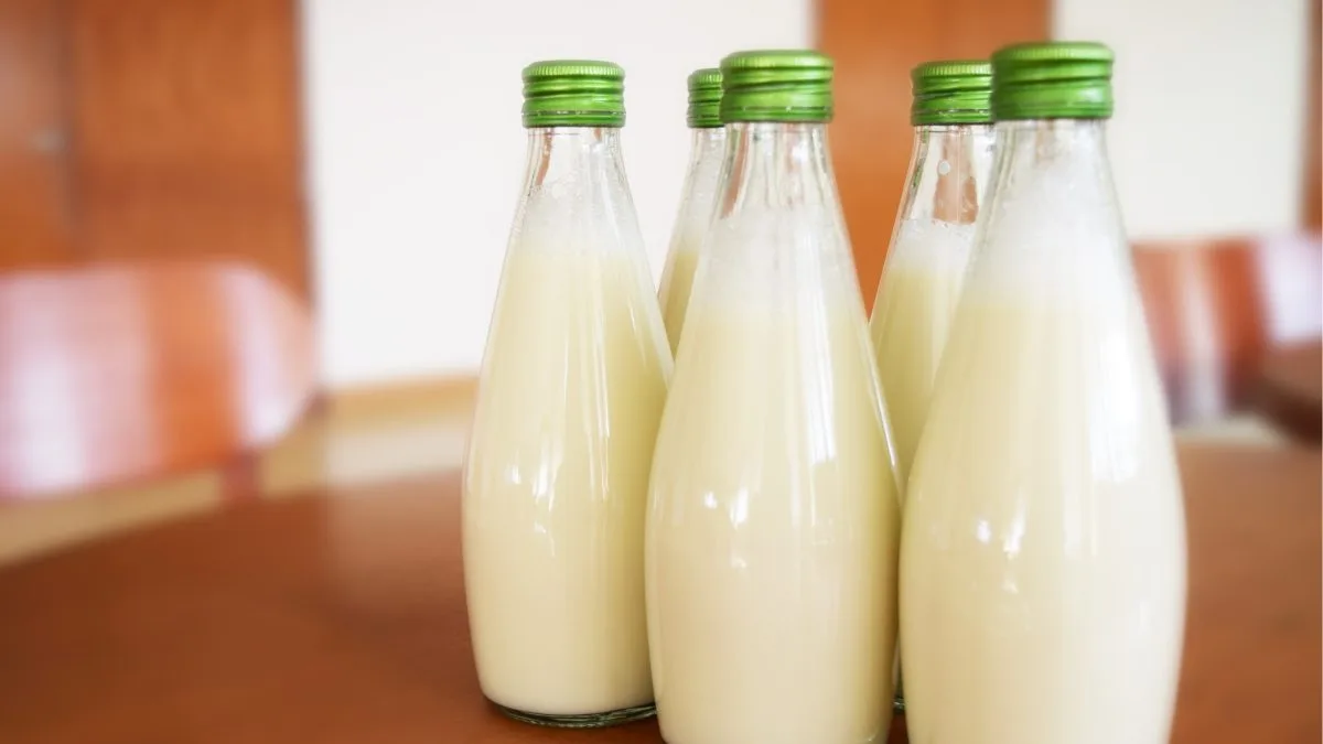 Tem em casa? Lote de leite é interditado e retirado dos supermercados após resultado insatisfatório em análise; veja qual não deve ser consumido