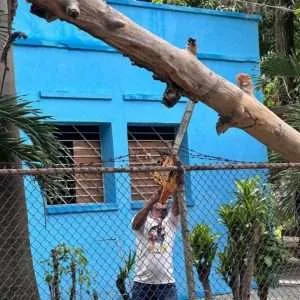 Atendidos 23 sectores en La Victoria tras fuertes lluvias
