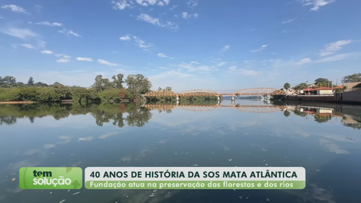 Tem Solução: SOS Mata Atlântica completa 40 anos com projetos de recuperação de rios e florestas