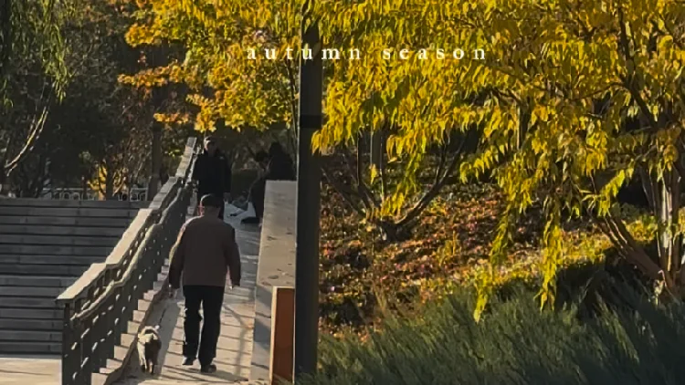 Painted in autumn: Echoes of Tang poetry along Beijing's Liangma River
