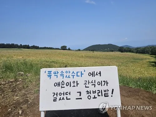 "'폭싹'만 있는 게 아니우다…말맛 살아있는 재미난 제주어"