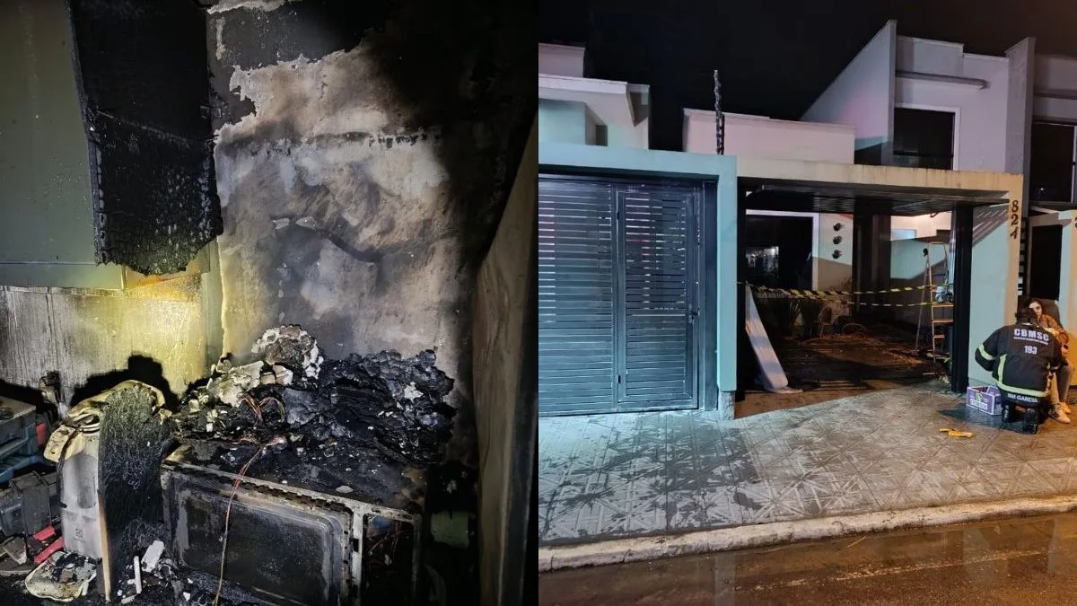 Dois cachorros e um gato morrem após casa pegar fogo em SC e cinco animais vivos são resgatados pelos bombeiros