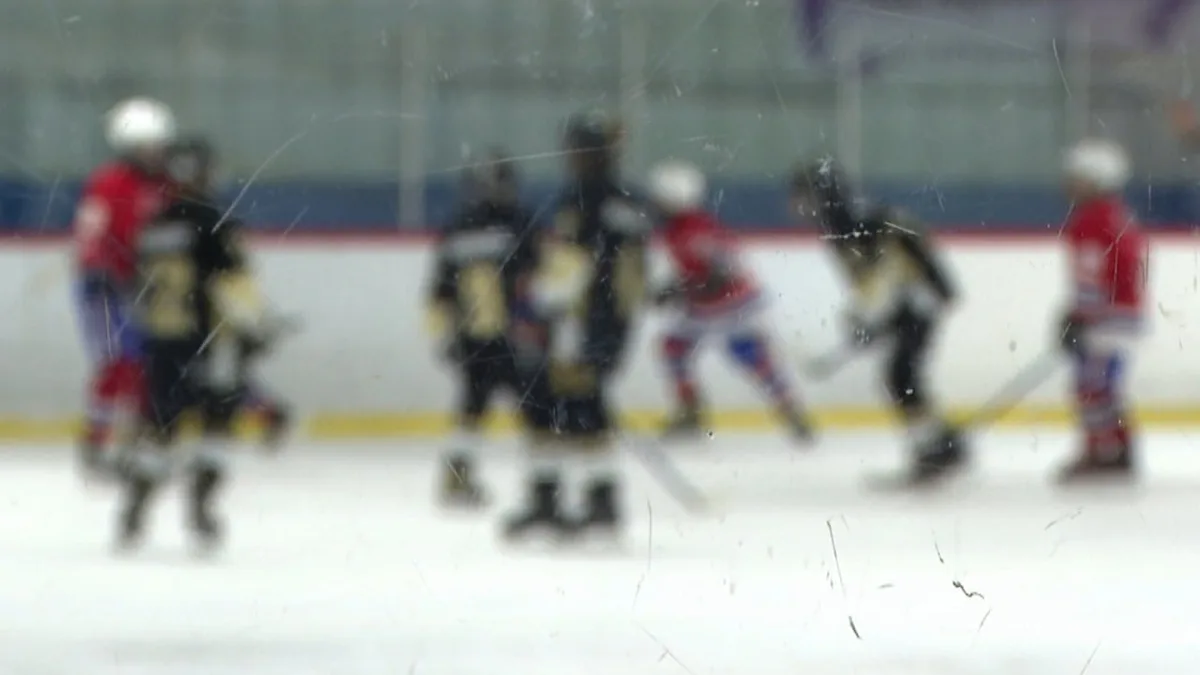 Hockey N.S. partners with sexual assault centre on pilot project after players charged for hazing