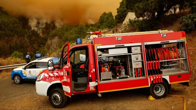 Homem condenado por incêndio florestal detido novamente em Vale de Cambra