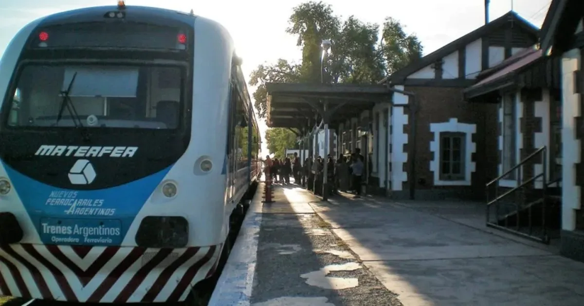 Vuelta del Tren del Valle en Río Negro: cómo es el plan para recuperar el servicio